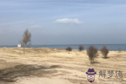 四大血型結婚前該注意什麼