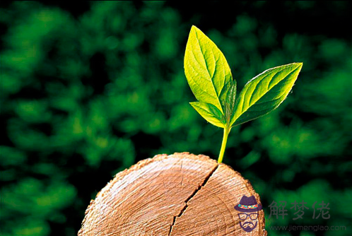 測試兩個人的感情危機