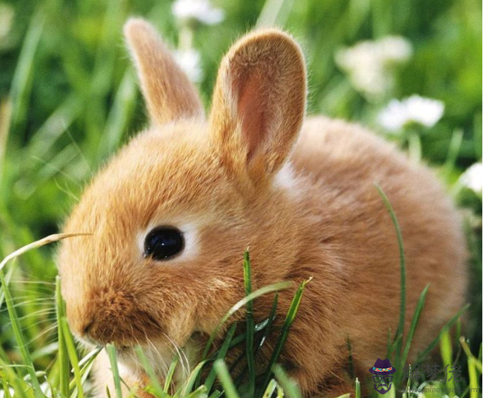 測試兩個人的感情危機