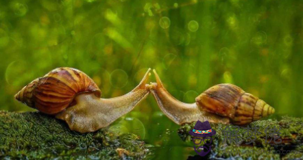 測試你的婚姻有哪些問題