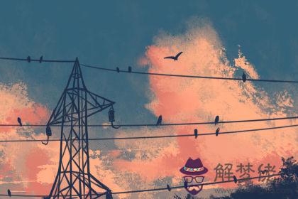 結婚日子在線測算免費 測婚禮吉時