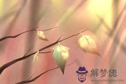 愛情測試 愛情測試