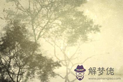 愛情測試 愛情測試