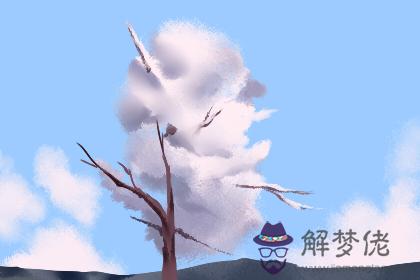 財富測試 財富測試