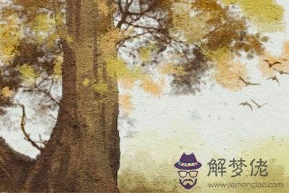 愛情測試 愛情測試