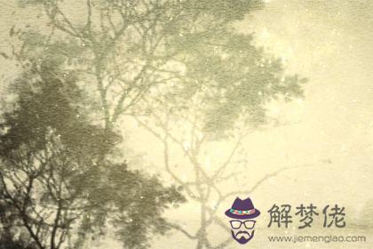 愛情測試 愛情測試