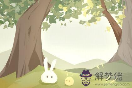 婚姻測試 婚姻測試