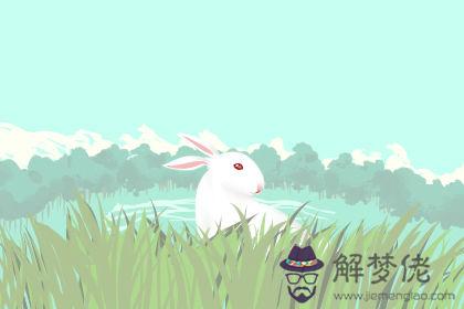 綜合測試 綜合測試