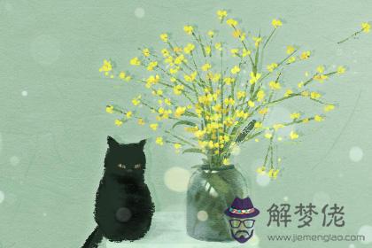 職業測試 職業測試