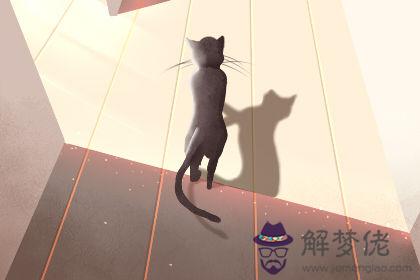 婚姻測試 婚姻測試