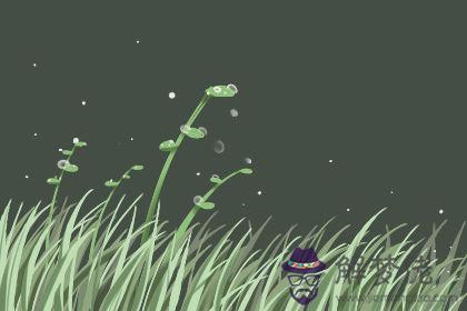 職業測試 職業測試