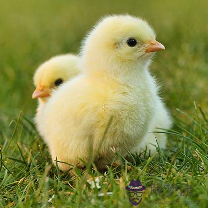 速來測測你的運氣何時觸底反彈