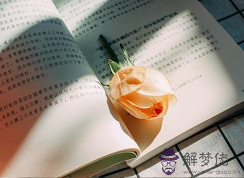 于你而言,去撩怎樣的人像隔重山?