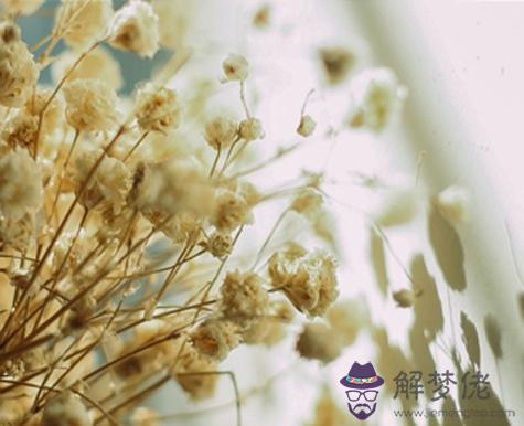 婚后你能否在婆媳關系中游刃有余？