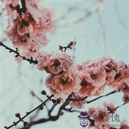 超準，為什麼你總遇不到正桃花？