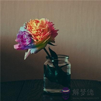 測測明年你哪方面運氣最旺?準到哭