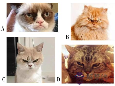 盛怒之下,你是否給人帶去了負能量