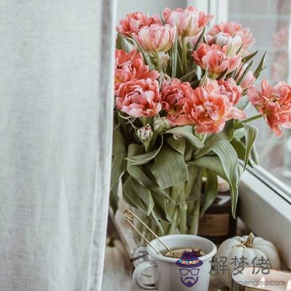 2月你的運勢會不會好的一塌糊涂？"