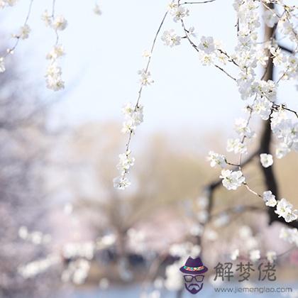 水逆太衰？測測未來三個月你哪方面能轉運