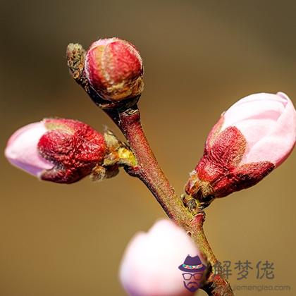 水逆太衰？測測未來三個月你哪方面能轉運