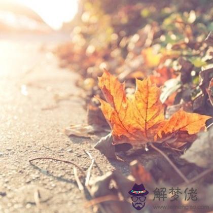 你在這個秋天的運勢會如何？