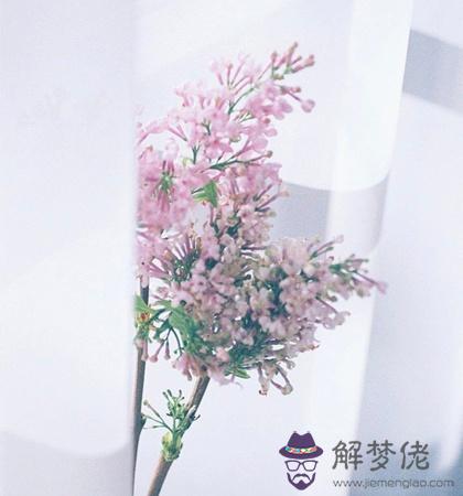 這個秋天哪種顏色能助你好運？