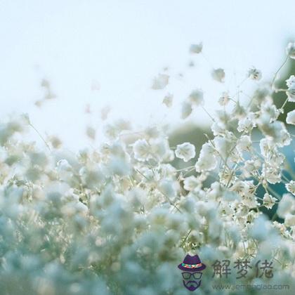 愿意陪你度過人生寒冬的人是？