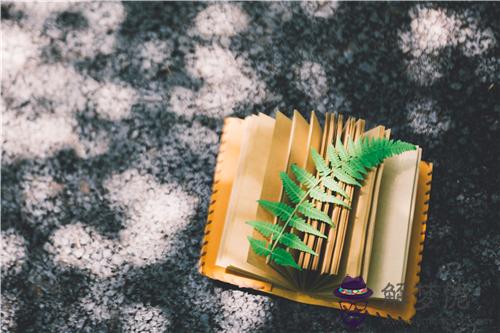 十月份你的運勢會好轉or糟糕?