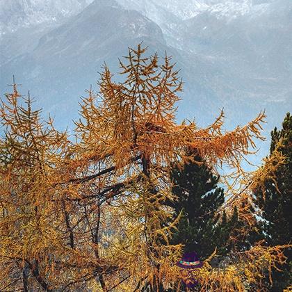 必進,測測初秋你會進入轉運期嗎