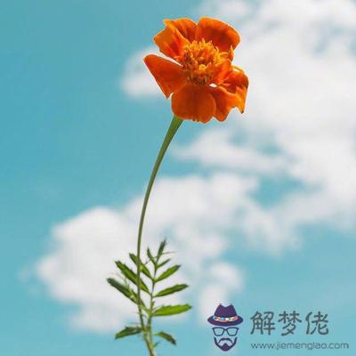 你后半生可以不用愁的是什麼呢？