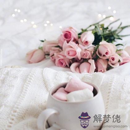 豬年來了！測測你能否諸事順利