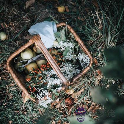 清明過后，你會有哪方面的好運？