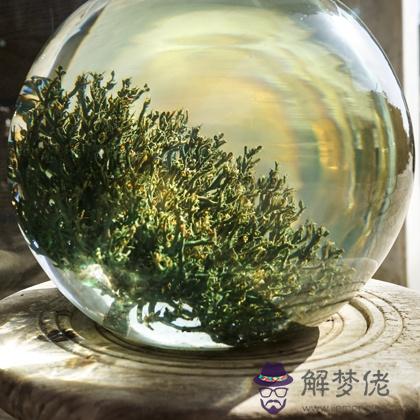 019年你會有什麼好運的事情發生"