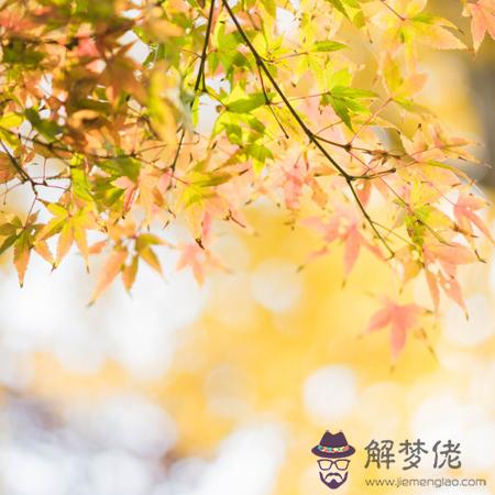 018年的哪個季節你將好運連連"