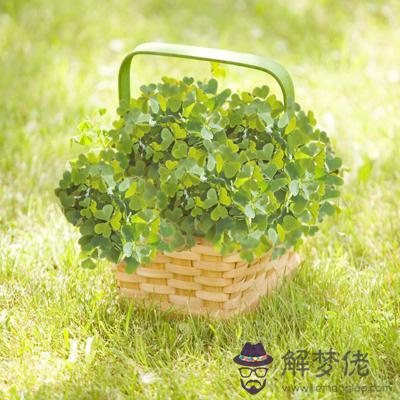 018你的幸運會在何時到來？"