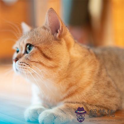 真相殘忍，你喜歡的人是不是渣男