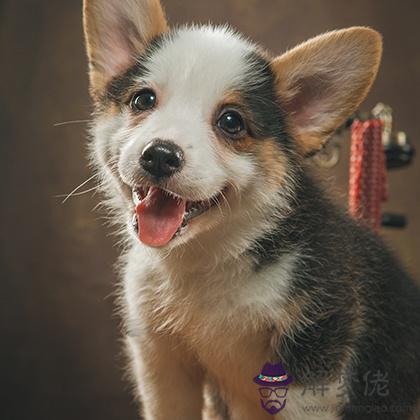 小測試：你的隱藏閃光點是什麼？