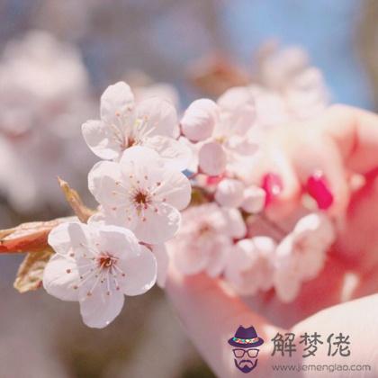 春天會為你帶來美美的桃花運嗎？