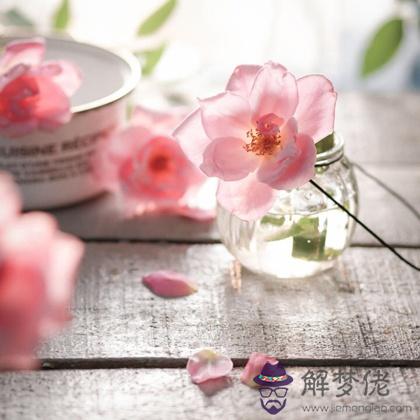 你能不能甩得掉爛桃花的糾纏呢？