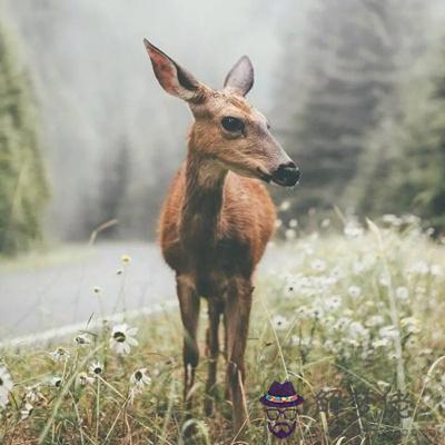 新的一年，你先脫貧還是先脫單？