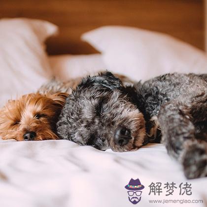 從日常睡姿測你目前的生活狀態！