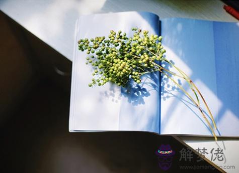 接下來三個月你會遇什麼好事？