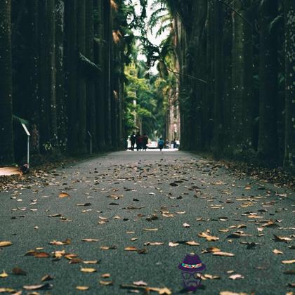 測你被暗戀的幾率，沒有豈不很尷尬？