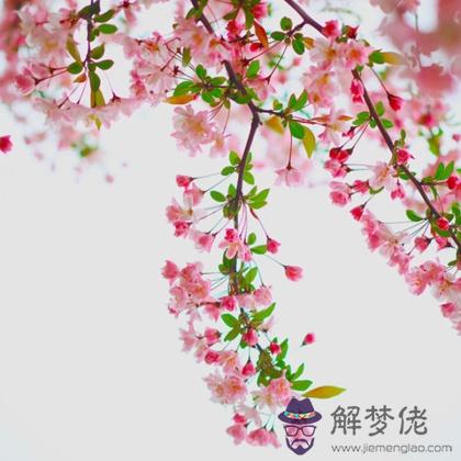 今年的桃花運能給你帶來收獲嗎？