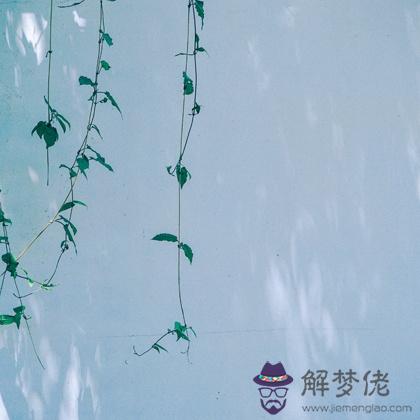 測你未來的男朋友有錢嗎？