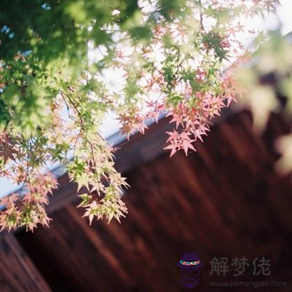 0月你在哪方面會宛如開掛一般?"