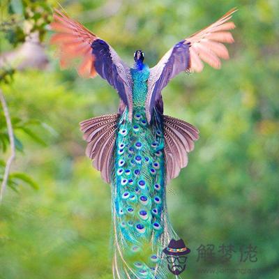 生活中你是不起眼的麻雀嗎？