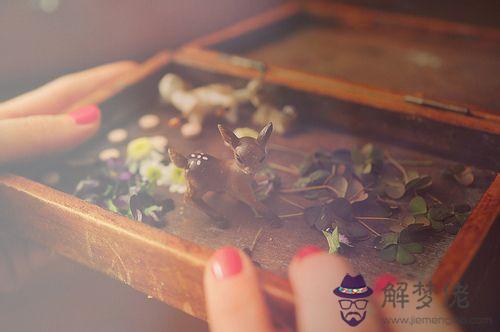 面對誘惑時你為啥剎不住車？