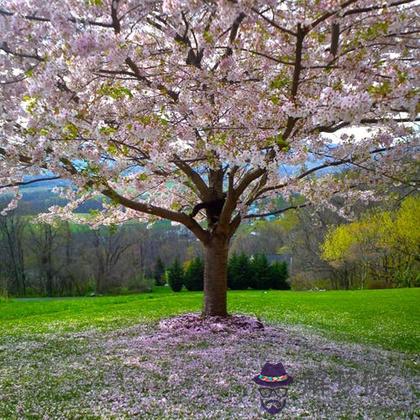 測最近會有哪種好運正走向你呢？？