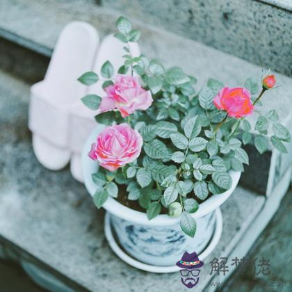 水逆太衰？2019年你啥時候能轉運